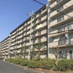 なぜ早期退職を選んだのか――不動産と事業の数字を見て決めたこと